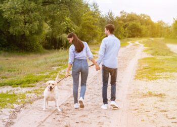 Optimism reigns as restoration begins in earnest