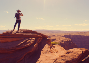 Knowledge-Pushed Choices for Pet Claims