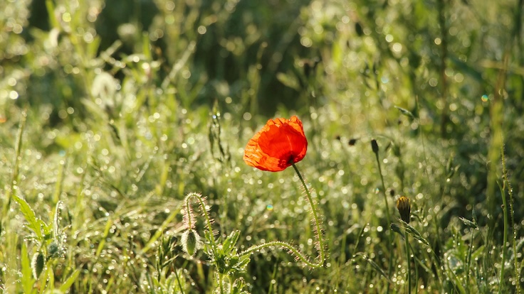 Area of interest Specialization for Brokers: Why & Methods to Choose a Area of interest (and Make It Worthwhile)