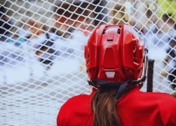 Six Months in UK Pet Insurance coverage: Key Takeaways